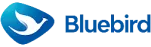 Bluebird